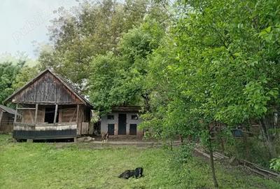 Casa de vanzare - 3
