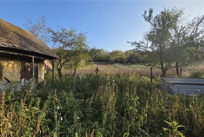 CASA  CU TEREN 2690 MP MOCIU CASA  CU TEREN 2690 MP MOCIU - 5