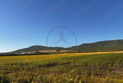 Teren de 51000 mp, în Central