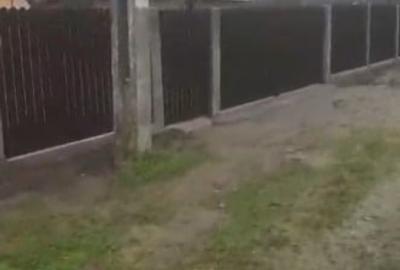 Vand casa batraneasca renovata in Udupu Teleorman - 2