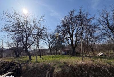 Teren de 2421 mp, în Mireșu Mare - 3