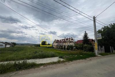 Teren intravilan Lilieci, Hemeius, Bacau - 11