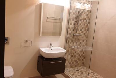 Apartament spatios -2 camere- zona VItan - 12