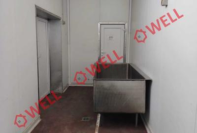 Spațiu industrial, în Vâlcele - 6