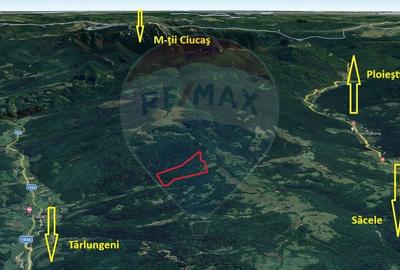 Teren extravilan de 14600 mp, în Tărlungeni