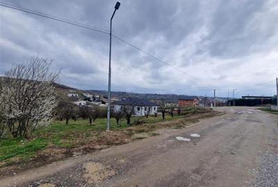 RECO teren intravilan Saldabagiu de Munte - 3