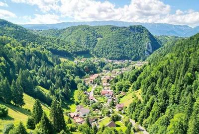 Acces facil si pozitionare sudica - 6