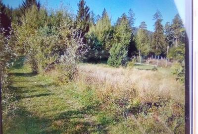 Teren de 4000 mp, în Satulung