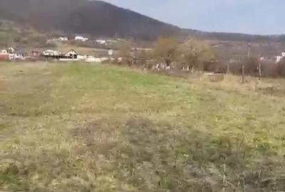 Teren de 2300 mp, în Viișoara - 4