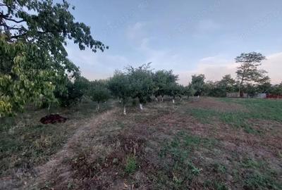 Casa batraneasca bine intretinuta in Bahna - 11