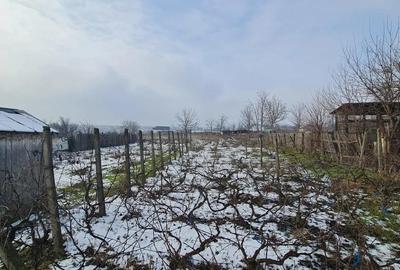 Vanzare casa cu teren de 3.817 mp, com.Tulucesti, jud.Galati, deschidere la DN26 - 2