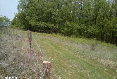 Teren de 50000 mp, în Făgețelu - 4