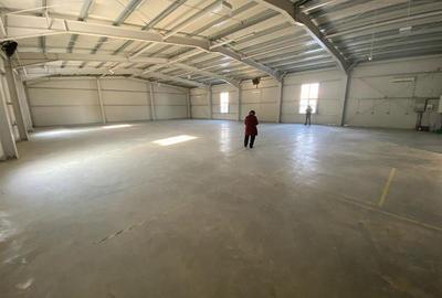 Hala noua 2021, 660 mp, zona Skoda - 2