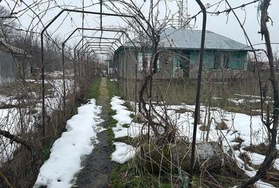 Casă cu Teren 2400 Mp în Toporu - 7