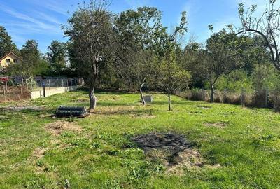 Teren intravilan km 6 Calea Caransebesului 2800 mp utilitati negociabil - 1