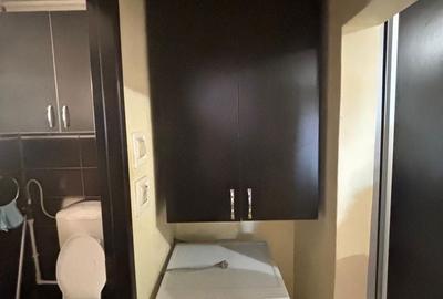 Apartament cu 2 camere decomandat în Vărsătura - 6