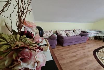 La intrare in Simon, Bran, pensiune turistica, constructie noua, vedere panorami - 29