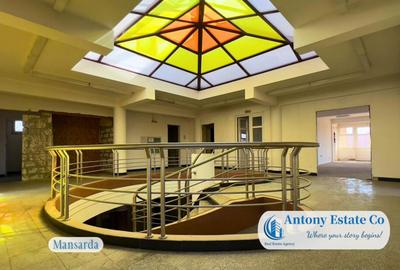 Spatiu Comercial - Birou, Cabinet Medical, Ultracentral - Or - 23