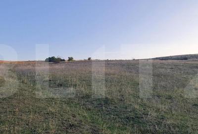 Teren, 11.600 mp, Campenesti - 3