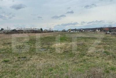 Teren intravilan cu toate utilitatile disponibile Dragomires - 5