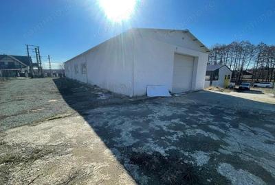 Spațiu comercial, de 982 mp, în Tăuții-Măgherăuș - 17