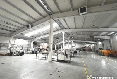 Hala 1200mp, depozitare sau productie, acces TIR zona blvd Muncii - 2