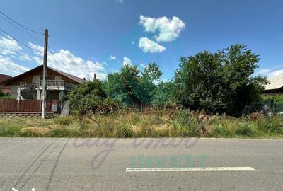 Teren de 16534 mp, în Gruiu - 2