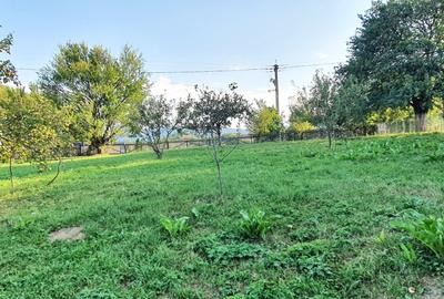 Teren pentru investitie sau casa de vacanta , Pestera , Brasov - 9