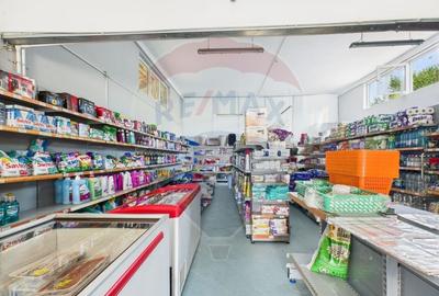 Hala, teren 5000 mp si casa in Potlogi- 38 km pana in Bucuresti - 3