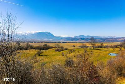 Spațiu comercial, în Central - 3