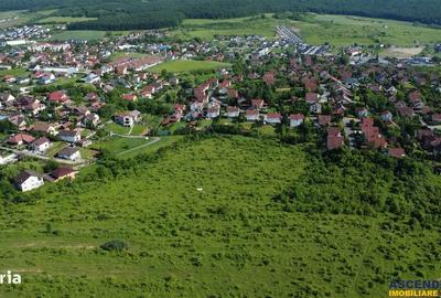 Spațiu comercial, în Livezeni - 9