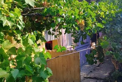 Casă cu 3 camere în Călina - 1