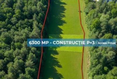 Teren de 6300 mp, în Ferneziu - 1