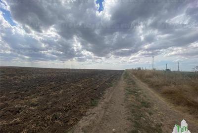 Teren extravilan in Mihail Kogalniceanu, Constanta - 6