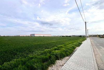 Teren în Dragomirești-Vale - 3