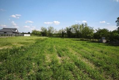 Teren agricol intravilan de 1198 mp, în Tărian - 11