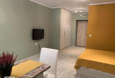 Garsonieră semidecomandată în Theodor Pallady - 7