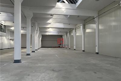 Depozit/hala/spa#539;iu industrial Jilava - Giurgiului, Ilf - 3