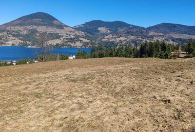 Spațiu comercial, în Colibița - 5