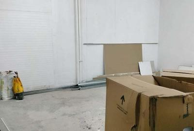 Zona Prelungirea Ferentari 100 mp - 2