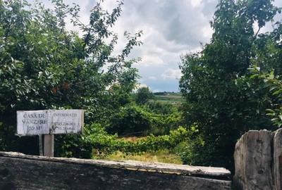 Teren de 2900 mp, în Ceanu Mic