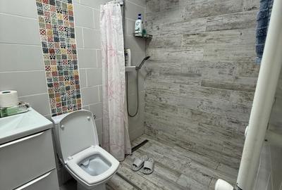 Casă individuală cu 2 camere cu Canalizare în Domenii - 5