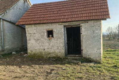 Casă în Vințu de Jos - 6