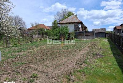 Casă cu 2 camere în Șerbănești - 4