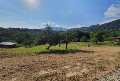 Teren rezidential zona Bran Tohanita zona de case - 1