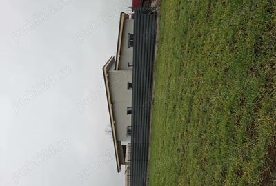 Casa de vanzare balotesti - 7