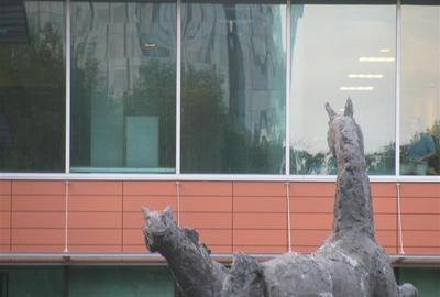 Inchiriere Birouri - Bucharest Business Park de la 233 mp - 13