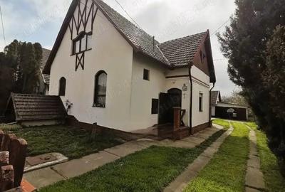 Inchiriez, Vand Vila in Ungaria langa Arad