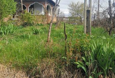 Vand casa batraneasca - 1
