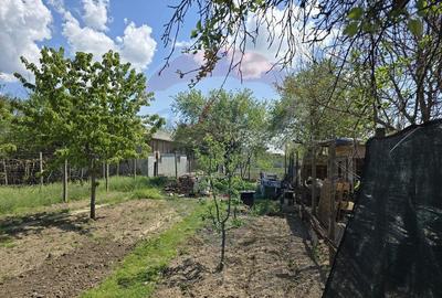 Casa / Vila cu 3 camere de vanzare Casa / Vila cu 3 camere de vanzare - 9